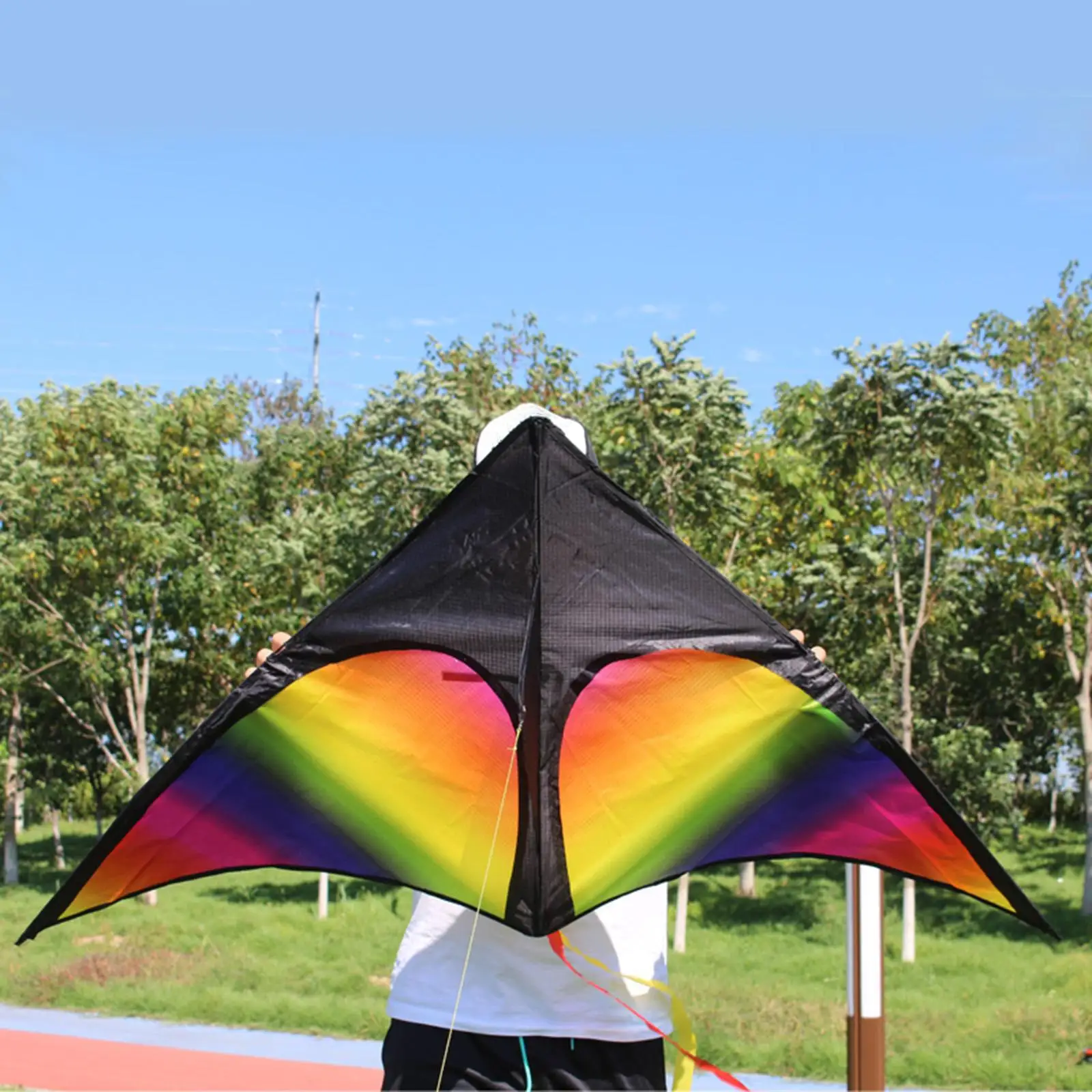 Rainbow kite Delta Easy to Fly Giant za igračaka putovanja